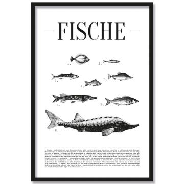 Poster Fische
