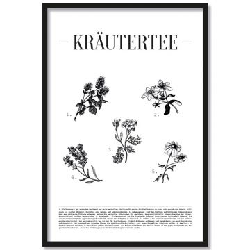 Poster Kräutertee