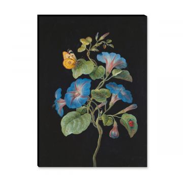 Leinwandbild von Barbara Regina Dietzsch