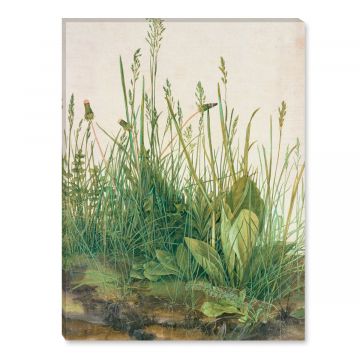 Albrecht Dürer - das große Rasenstück