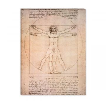 Proportionszeichen von Leonardo da Vinci als Leinwandbild