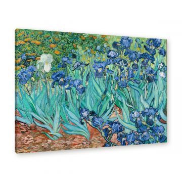 vincent van gogh leinwand