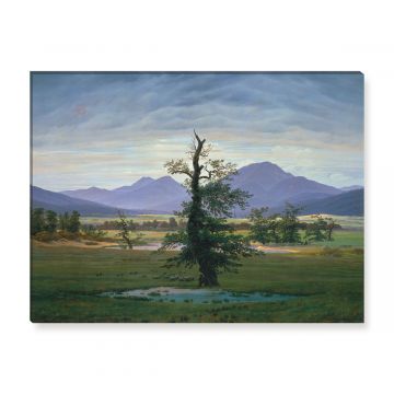 Der einsame Baum Caspar David Friedrich auf Leinwand