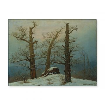 Friedrich Hünengrab im Schnee