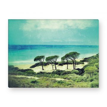 Leinwandbild - Strand - Beach - Sommer