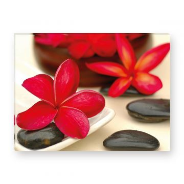 Leinwandbild - Steine - Wellness