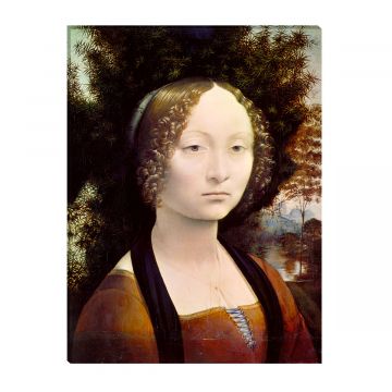 Gemäldei - Bildnis der Ginevra Benci