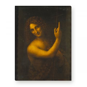Leinwandbild von Da Vinci