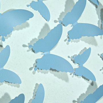 Wandtattoo 3D - Schmetterlinge Hellblau