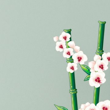 Wandsticker Set A4 - Weiße Orchideen