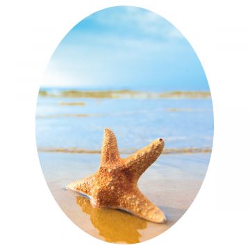 WC Aufkleber Starfish On The Beach