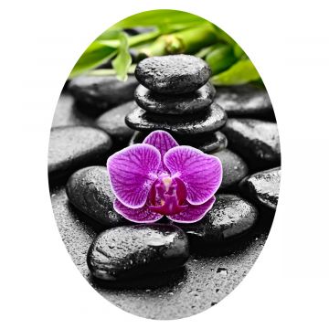 WC Aufkleber Wellness Stones