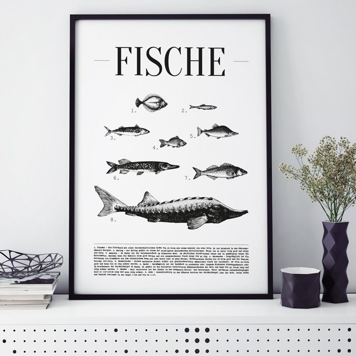 Poster Fische